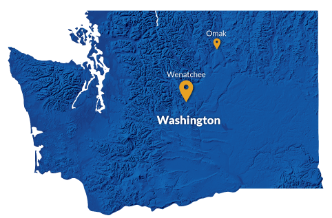 Relief map of Washington state in color blue