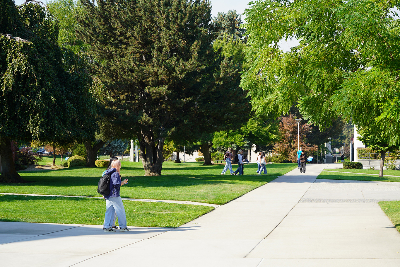 Photo of students on campus